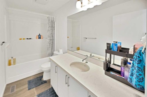 117 South Point Sw, Airdrie, AB - Indoor Photo Showing Bathroom