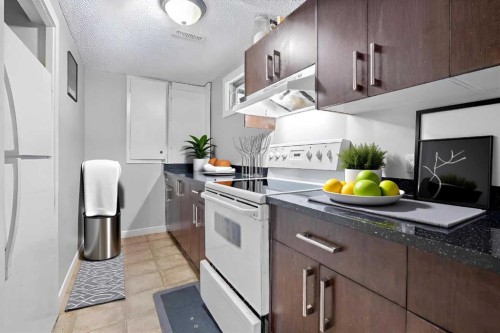 263 Doverview Crescent Se, Calgary, AB - Indoor Photo Showing Kitchen