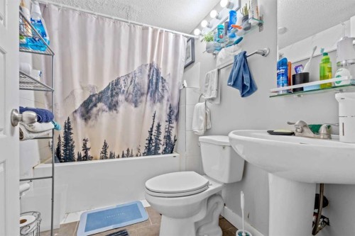 263 Doverview Crescent Se, Calgary, AB - Indoor Photo Showing Bathroom
