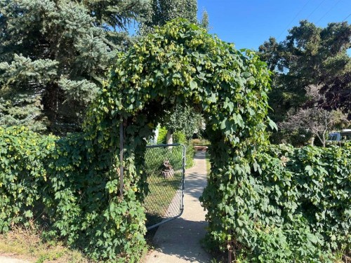 112 Allison Street, Acme, AB - Outdoor