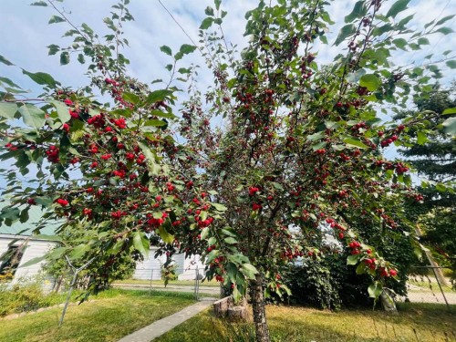 112 Allison Street, Acme, AB - Outdoor