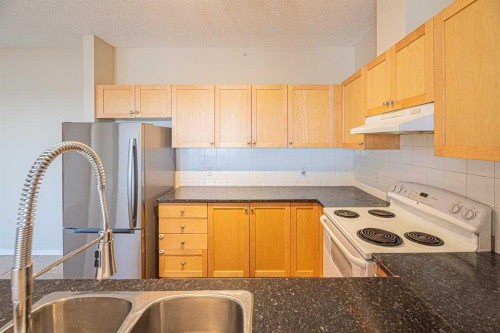 2414-333 Taravista Drive Ne, Calgary, AB - Indoor Photo Showing Kitchen With Double Sink