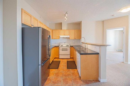 2414-333 Taravista Drive Ne, Calgary, AB - Indoor Photo Showing Kitchen With Double Sink