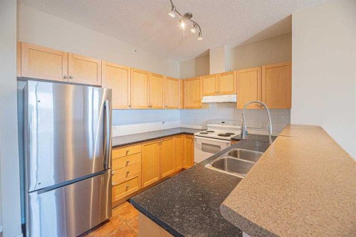 2414-333 Taravista Drive Ne, Calgary, AB - Indoor Photo Showing Kitchen With Double Sink