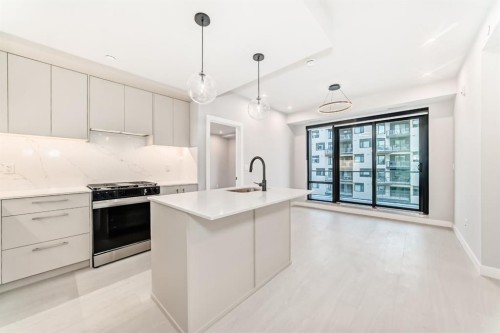 206-8375 Broadcast Avenue Sw, Calgary, AB - Indoor Photo Showing Kitchen With Upgraded Kitchen
