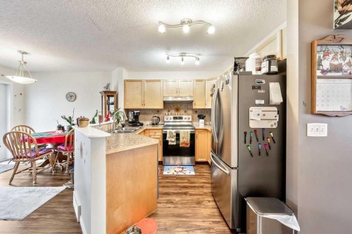 11 Saddlebrook Mews Ne, Calgary, AB - Indoor Photo Showing Kitchen With Double Sink