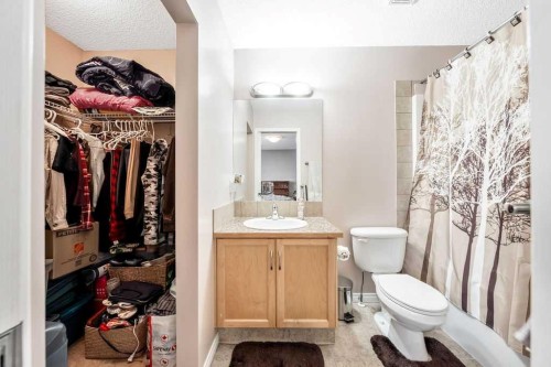 11 Saddlebrook Mews Ne, Calgary, AB - Indoor Photo Showing Bathroom