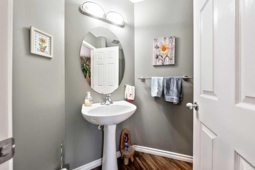 11 Saddlebrook Mews Ne, Calgary, AB - Indoor Photo Showing Bathroom