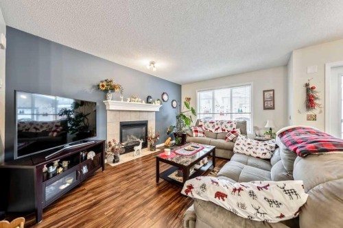 11 Saddlebrook Mews Ne, Calgary, AB - Indoor Photo Showing Living Room With Fireplace