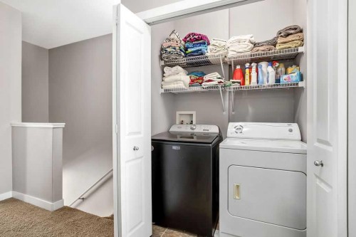 114 Skyview Ranch Gardens Ne, Calgary, AB - Indoor Photo Showing Laundry Room
