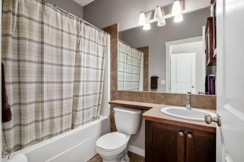 114 Skyview Ranch Gardens Ne, Calgary, AB - Indoor Photo Showing Bathroom