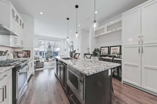 1229 Regal Crescent Ne, Calgary, AB - Indoor Photo Showing Kitchen With Upgraded Kitchen