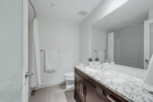 1229 Regal Crescent Ne, Calgary, AB - Indoor Photo Showing Bathroom
