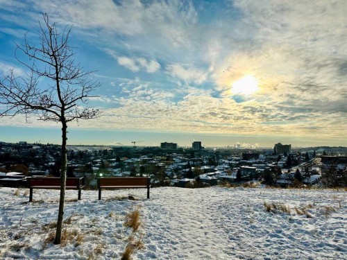 1229 Regal Crescent Ne, Calgary, AB - Outdoor With View