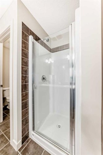 6 Evanspark Manor Nw, Calgary, AB - Indoor Photo Showing Bathroom