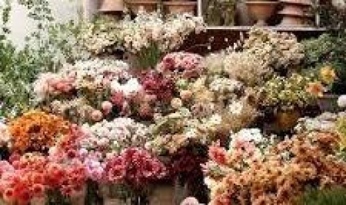 2114 54 Avenue Sw, Calgary, AB 