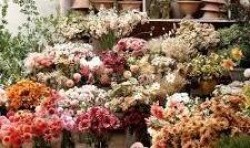 2114 54 Avenue SW Calgary, AB T3E 1L7