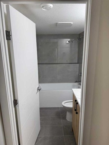 387 Templeview Drive Ne, Calgary, AB - Indoor Photo Showing Bathroom
