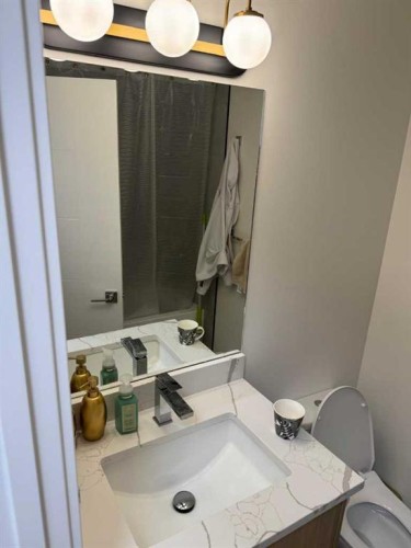 387 Templeview Drive Ne, Calgary, AB - Indoor Photo Showing Bathroom