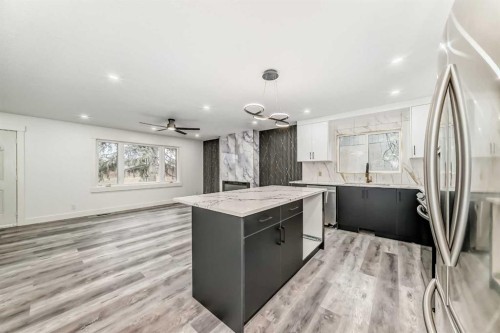 432 Ogden Drive, Calgary, AB - Indoor Photo Showing Kitchen With Upgraded Kitchen
