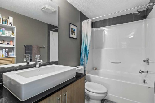 3204-11 Mahogany Row Se, Calgary, AB - Indoor Photo Showing Bathroom