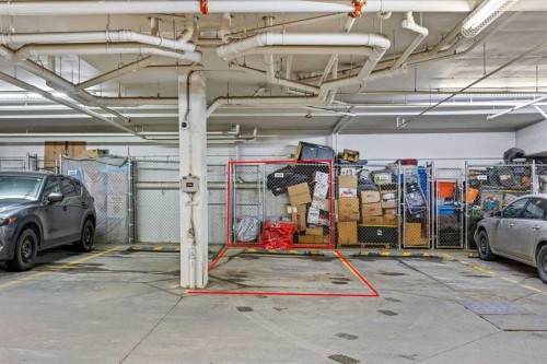 3204-11 Mahogany Row Se, Calgary, AB - Indoor Photo Showing Garage