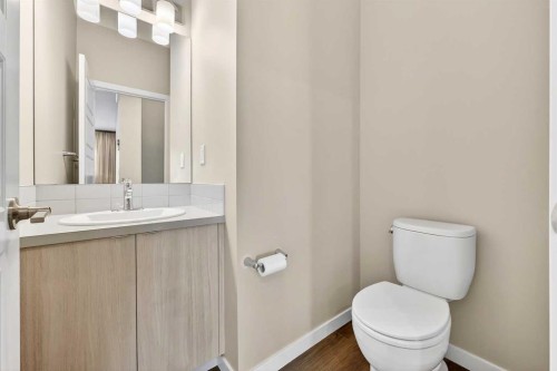 589 Mahogany Road Se, Calgary, AB - Indoor Photo Showing Bathroom