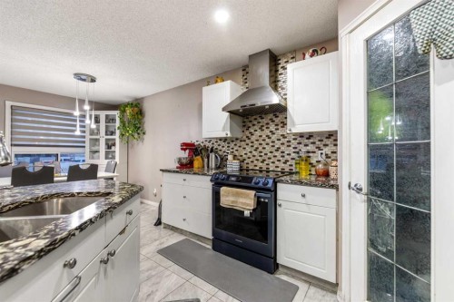 57 Saddlemead Road Ne, Calgary, AB - Indoor Photo Showing Kitchen With Double Sink