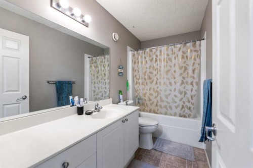 57 Saddlemead Road Ne, Calgary, AB - Indoor Photo Showing Bathroom