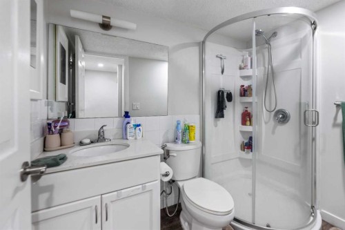 57 Saddlemead Road Ne, Calgary, AB - Indoor Photo Showing Bathroom