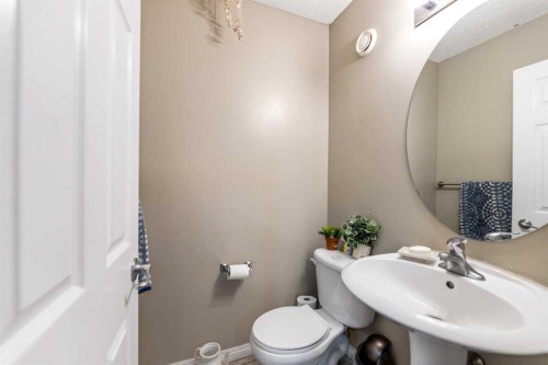 57 Saddlemead Road Ne, Calgary, AB - Indoor Photo Showing Bathroom