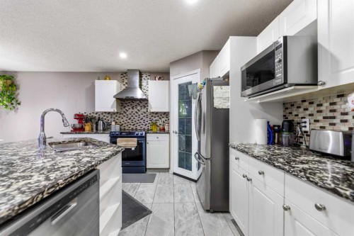 57 Saddlemead Road Ne, Calgary, AB - Indoor Photo Showing Kitchen With Upgraded Kitchen