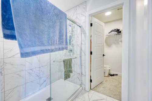 38 Setonstone Green Se, Calgary, AB - Indoor Photo Showing Bathroom