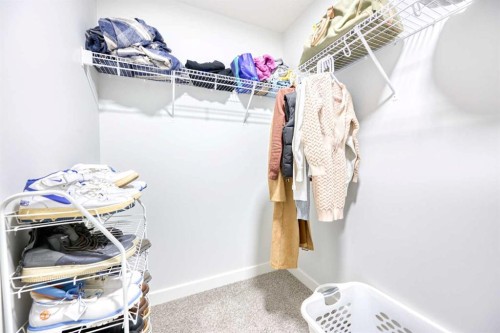 38 Setonstone Green Se, Calgary, AB - Indoor With Storage