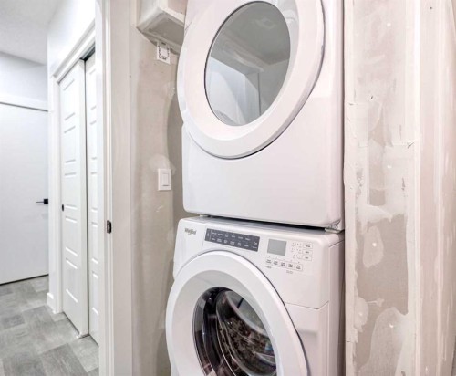 38 Setonstone Green Se, Calgary, AB - Indoor Photo Showing Laundry Room