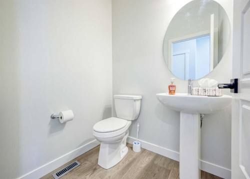 38 Setonstone Green Se, Calgary, AB - Indoor Photo Showing Bathroom