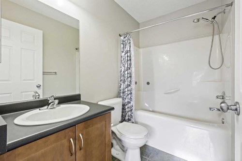 64 Elgin Gardens Se, Calgary, AB - Indoor Photo Showing Bathroom