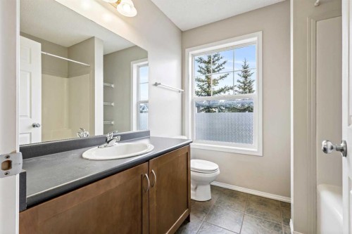 64 Elgin Gardens Se, Calgary, AB - Indoor Photo Showing Bathroom
