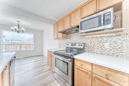 106 Saddletree Drive Ne, Calgary, AB - Indoor Photo Showing Kitchen