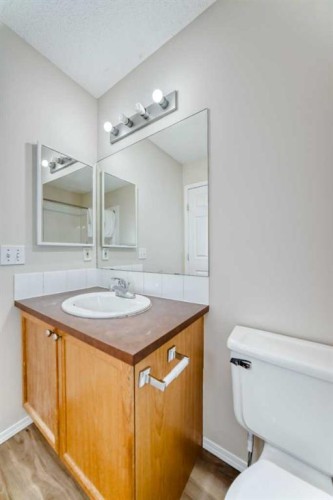 106 Saddletree Drive Ne, Calgary, AB - Indoor Photo Showing Bathroom
