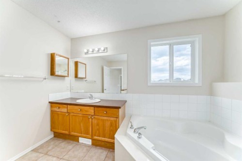 106 Saddletree Drive Ne, Calgary, AB - Indoor Photo Showing Bathroom