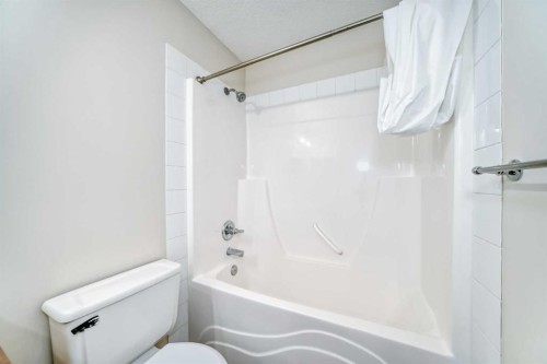 106 Saddletree Drive Ne, Calgary, AB - Indoor Photo Showing Bathroom