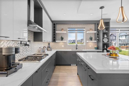 20 Waterford Heights, Chestermere, AB - Indoor Photo Showing Kitchen With Upgraded Kitchen