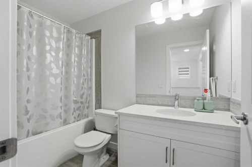 496 Reynolds Avenue Sw, Airdrie, AB - Indoor Photo Showing Bathroom