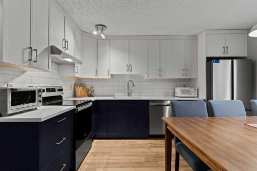 6 Castleglen Road Ne, Calgary, AB - Indoor Photo Showing Kitchen With Stainless Steel Kitchen