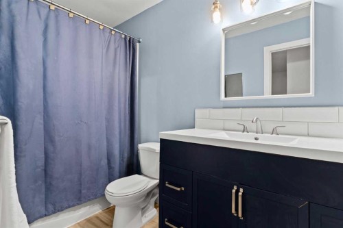 6 Castleglen Road Ne, Calgary, AB - Indoor Photo Showing Bathroom