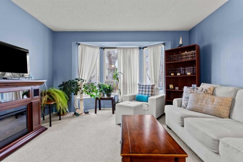6 Castleglen Road Ne, Calgary, AB - Indoor Photo Showing Living Room With Fireplace