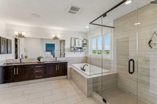 50 Riviera View, Cochrane, AB - Indoor Photo Showing Bathroom