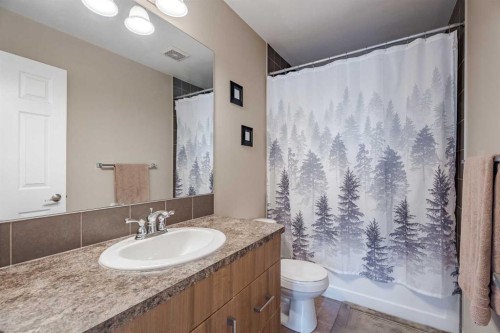 3098 Windsong Boulevard Sw, Airdrie, AB - Indoor Photo Showing Bathroom
