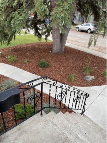 716 55 Avenue Sw, Calgary, AB - Outdoor